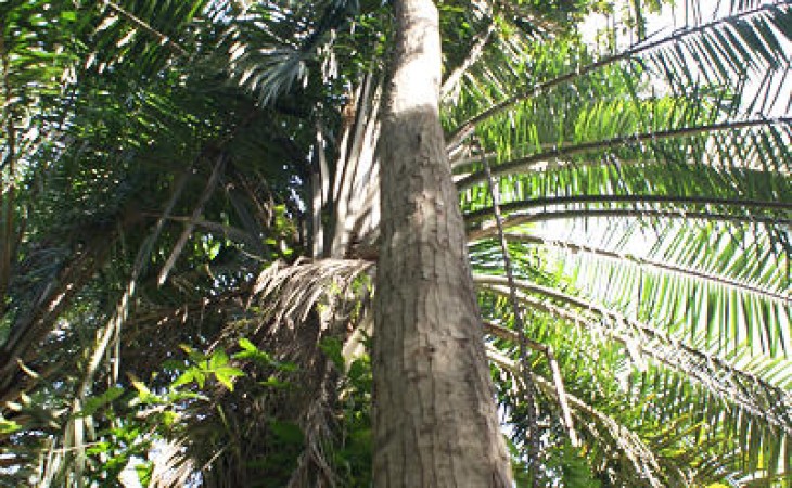 原来沙亚南也有地方玩的