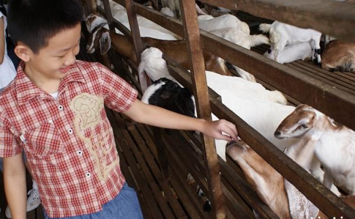 师说31：毕业旅行