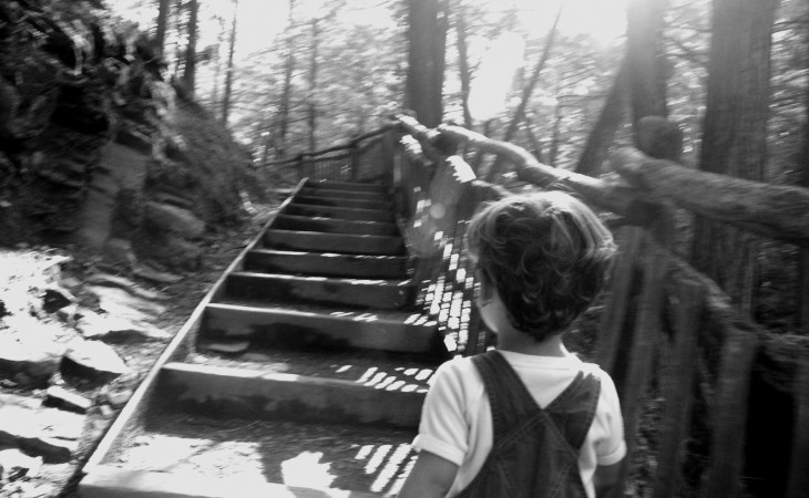 解剖生活 认真的