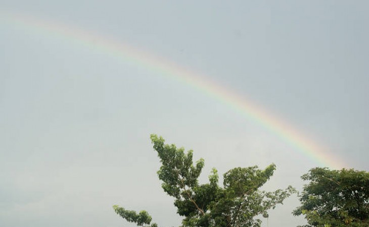 师说 50：蔡老师VS李羿熹  之对话