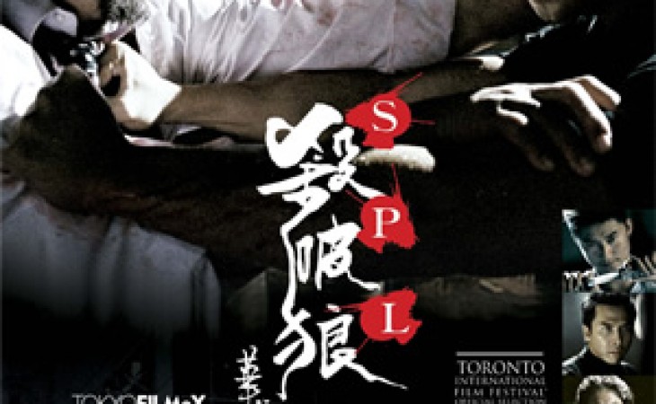 杀破狼太好的动作，熊猫回家感动的路