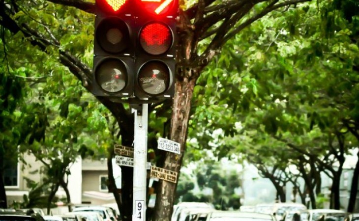 Fusion Haven 无国界天地 Fusion Haven 无国界天地