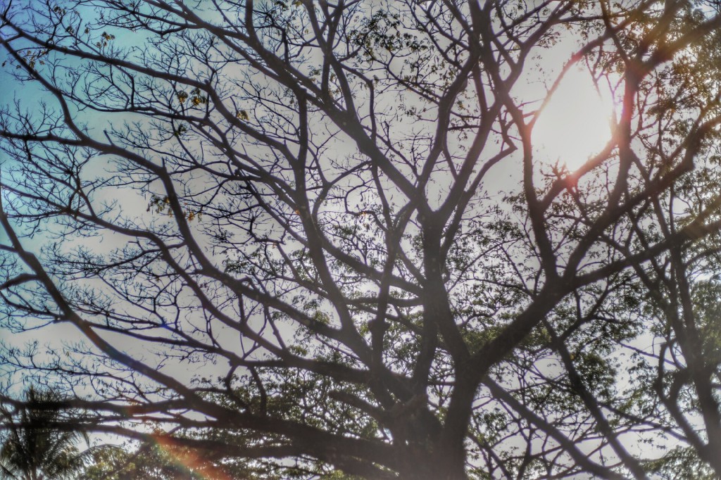 20150209172541_IMG_4387_1