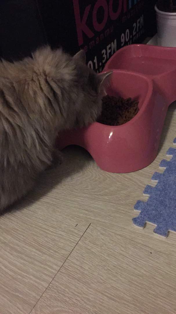 WhatsApp Image 2017-08-30 at 21.12.56