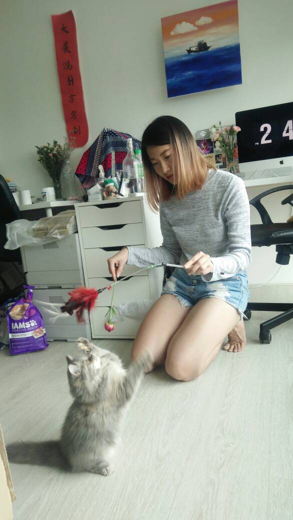 WhatsApp Image 2017-08-31 at 14.44.46